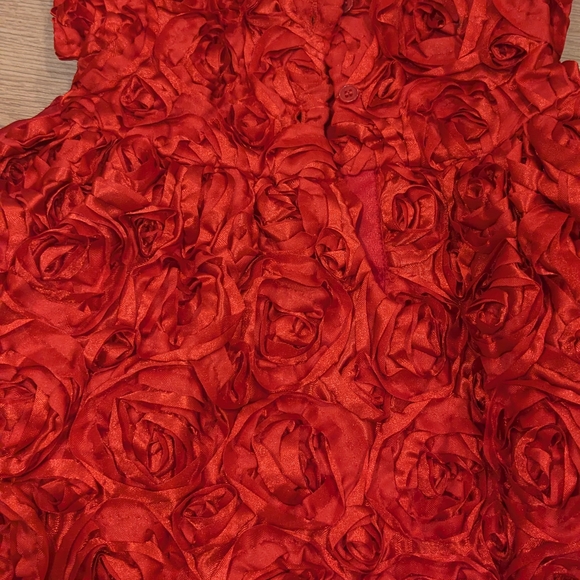 Valentines Toddler girl Red Rose Richie House 18m Dress - Picture 4 of 5